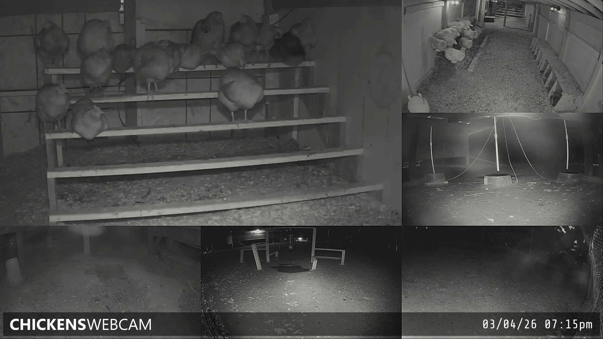 Twitch Stream Preview