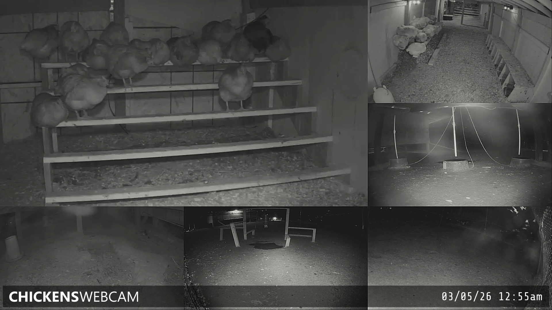 Twitch Stream Preview