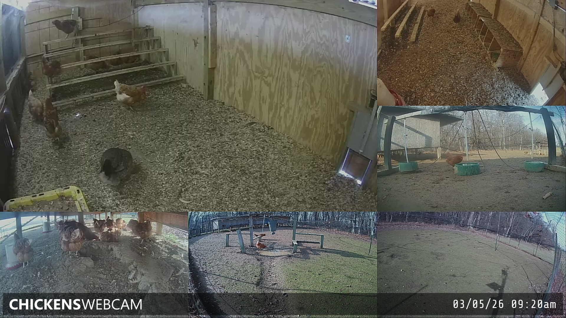 Twitch Stream Preview