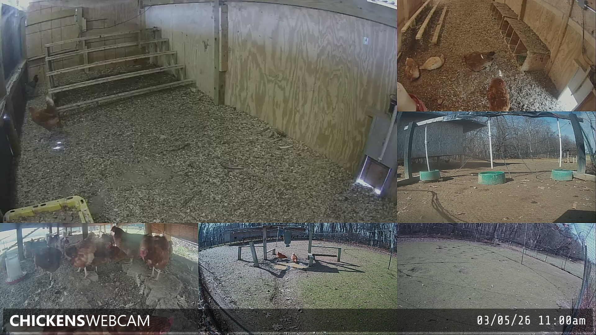 Twitch Stream Preview