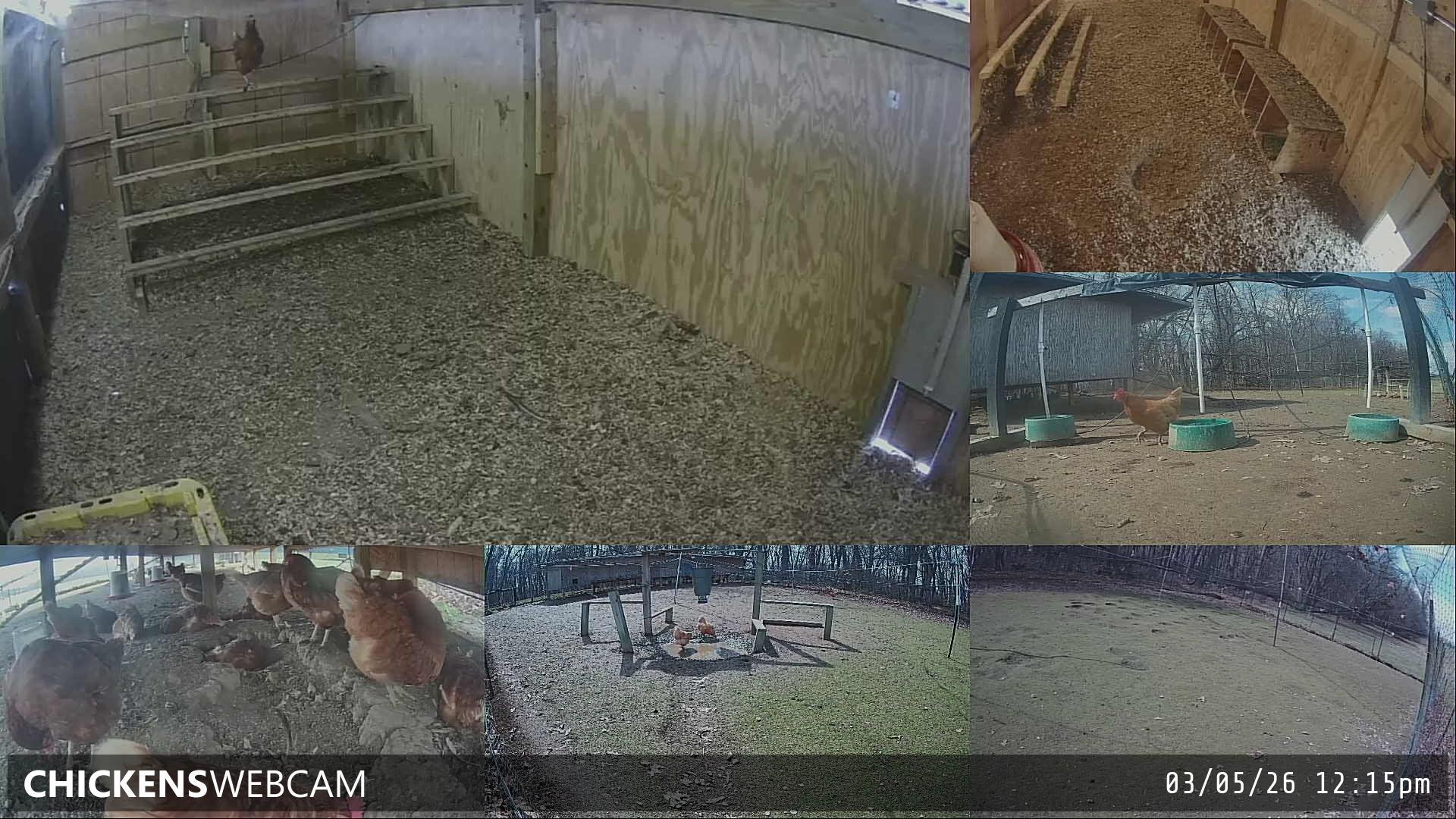 Twitch Stream Preview