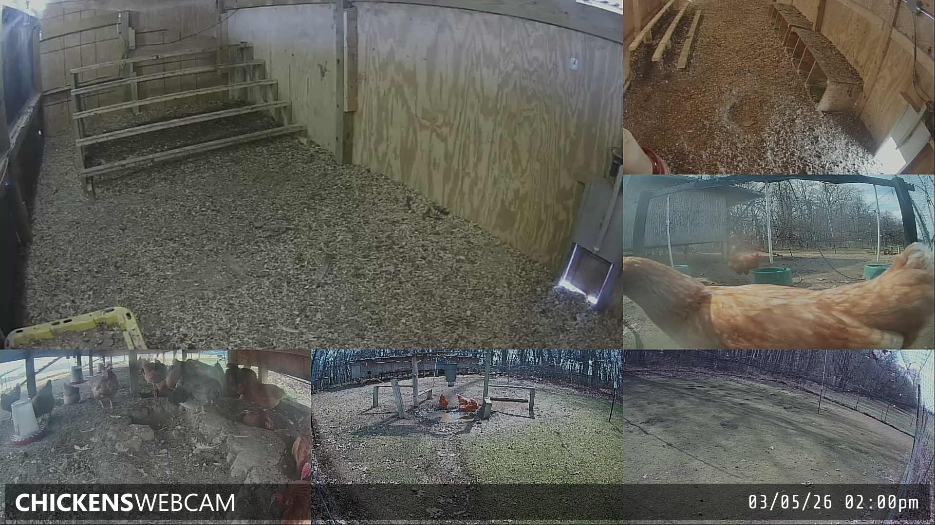 Twitch Stream Preview