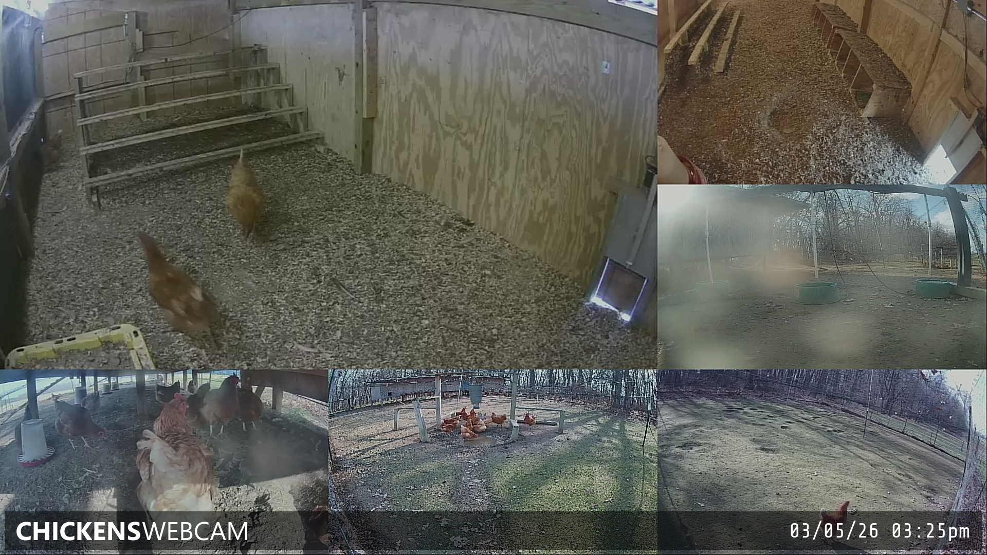 Twitch Stream Preview