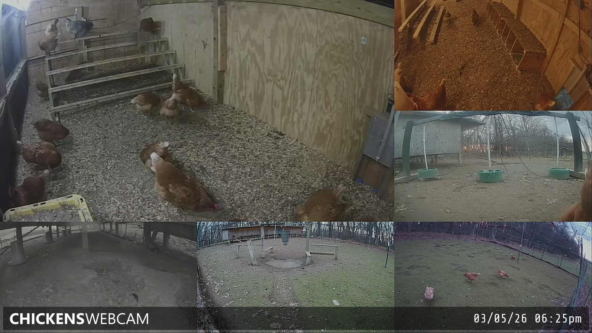 Twitch Stream Preview