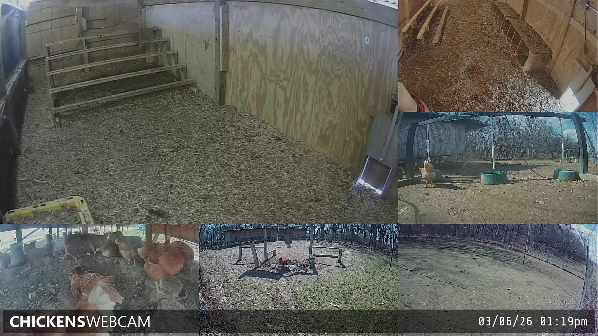 Twitch Stream Preview