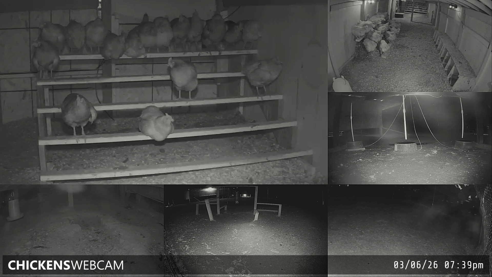 Twitch Stream Preview