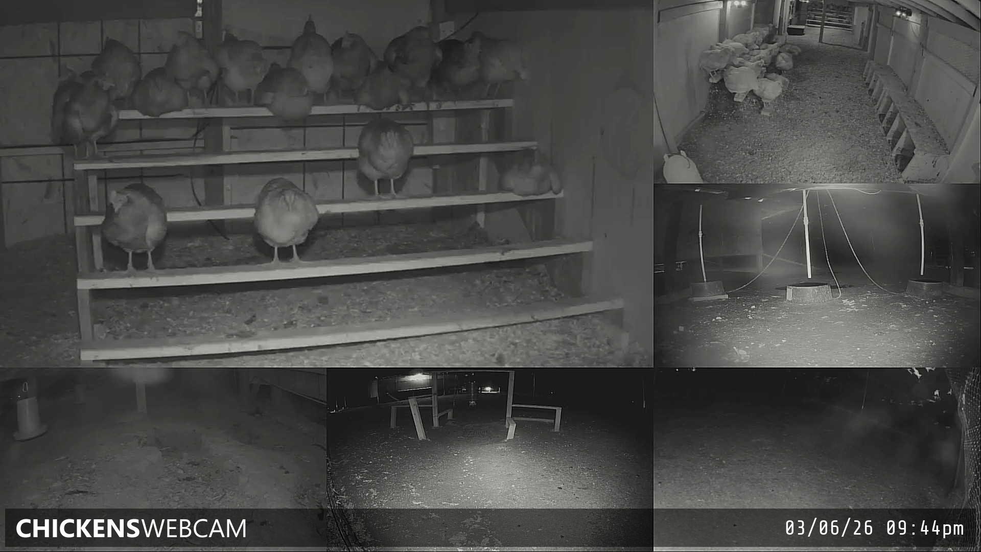 Twitch Stream Preview