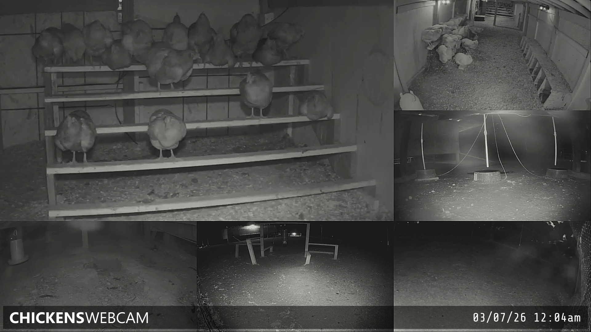 Twitch Stream Preview