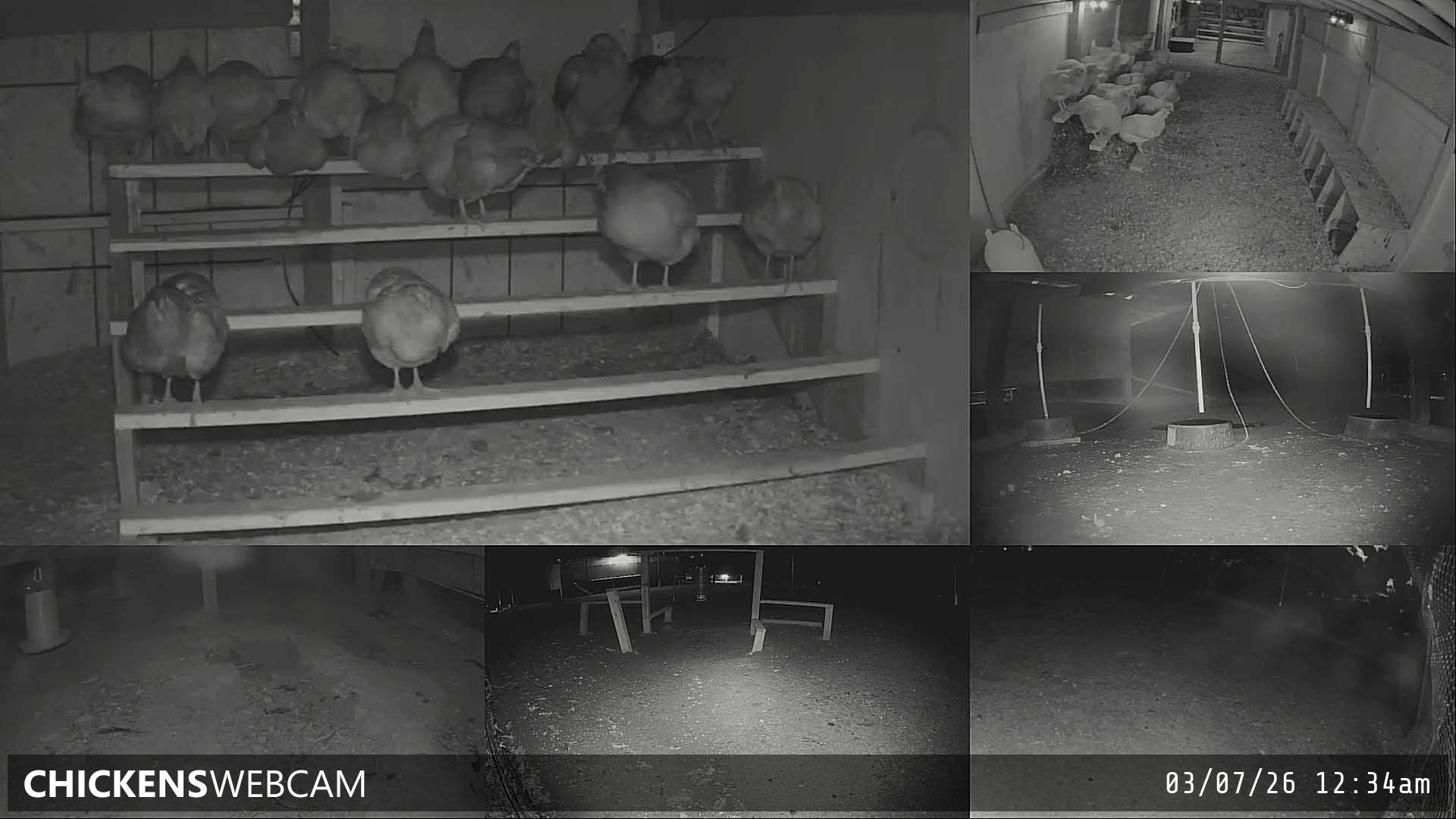 Twitch Stream Preview