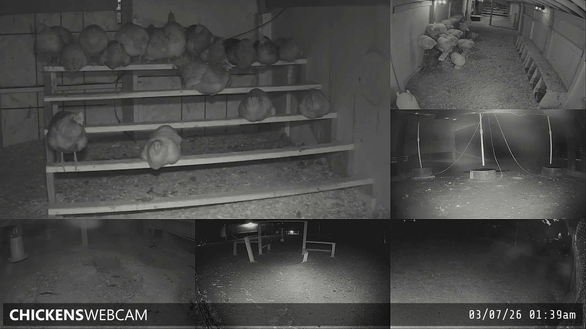 Twitch Stream Preview