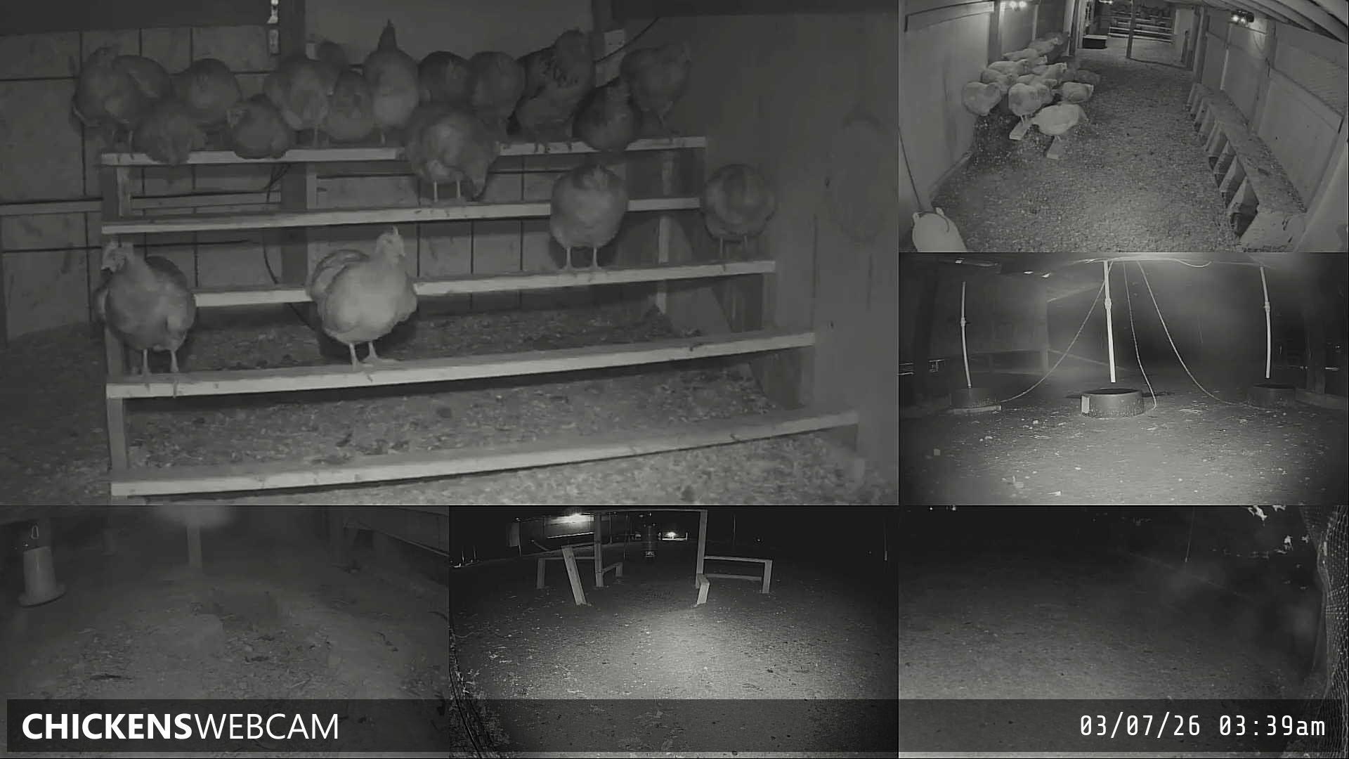 Twitch Stream Preview