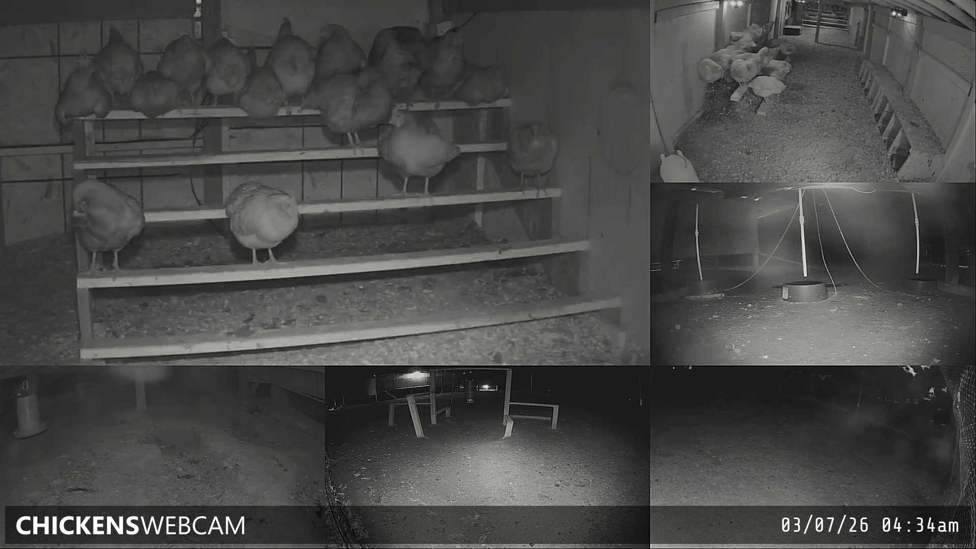 Twitch Stream Preview