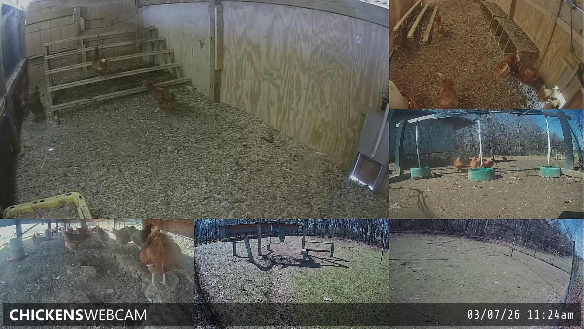 Twitch Stream Preview