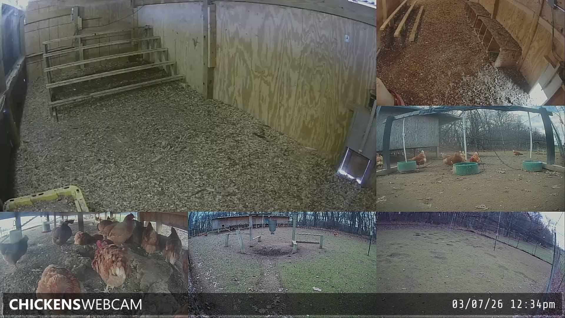 Twitch Stream Preview