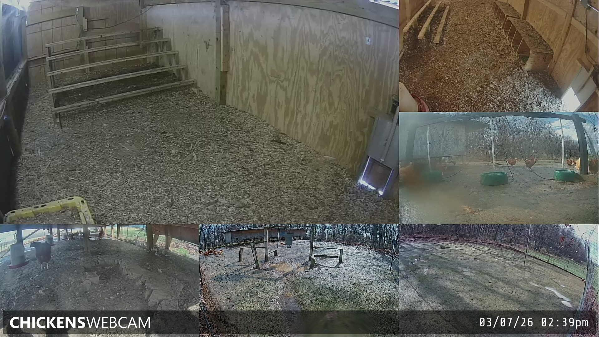 Twitch Stream Preview