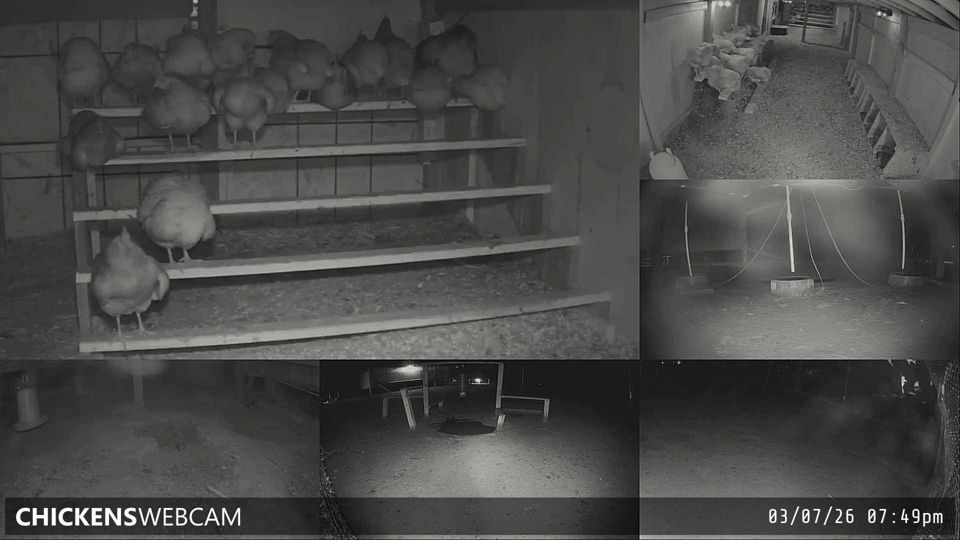 Twitch Stream Preview