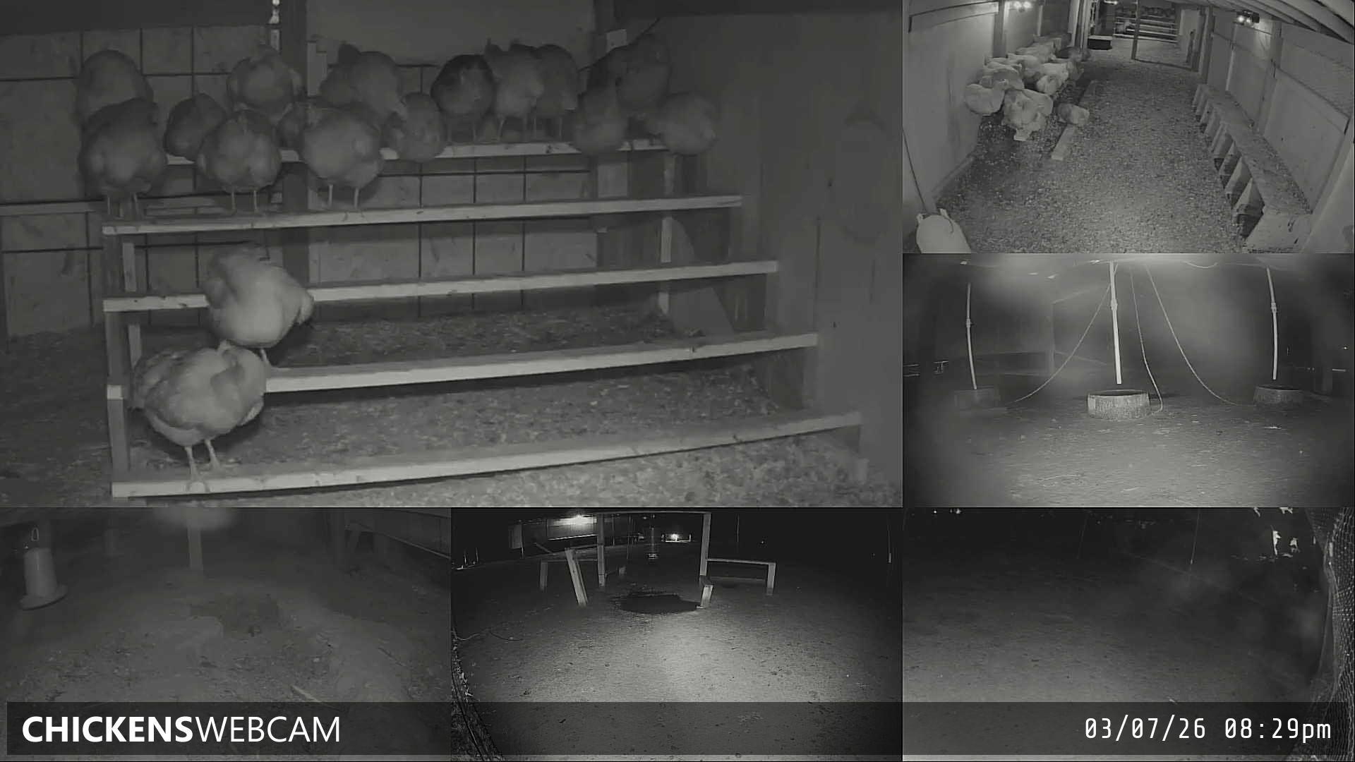 Twitch Stream Preview