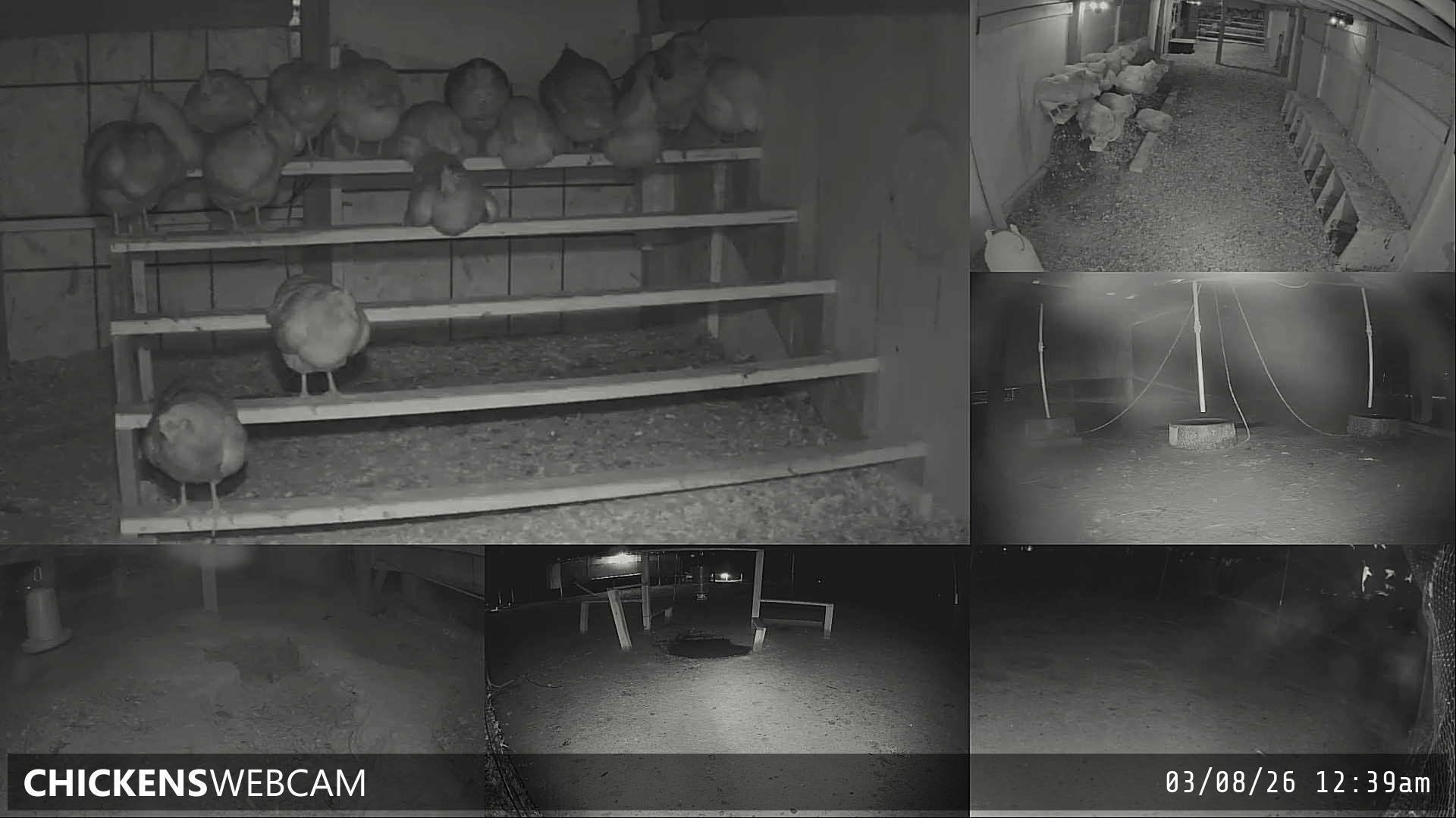 Twitch Stream Preview