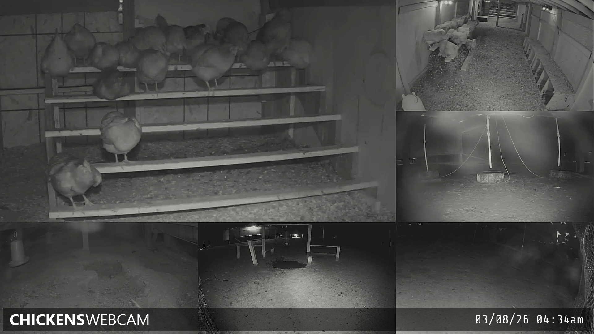 Twitch Stream Preview