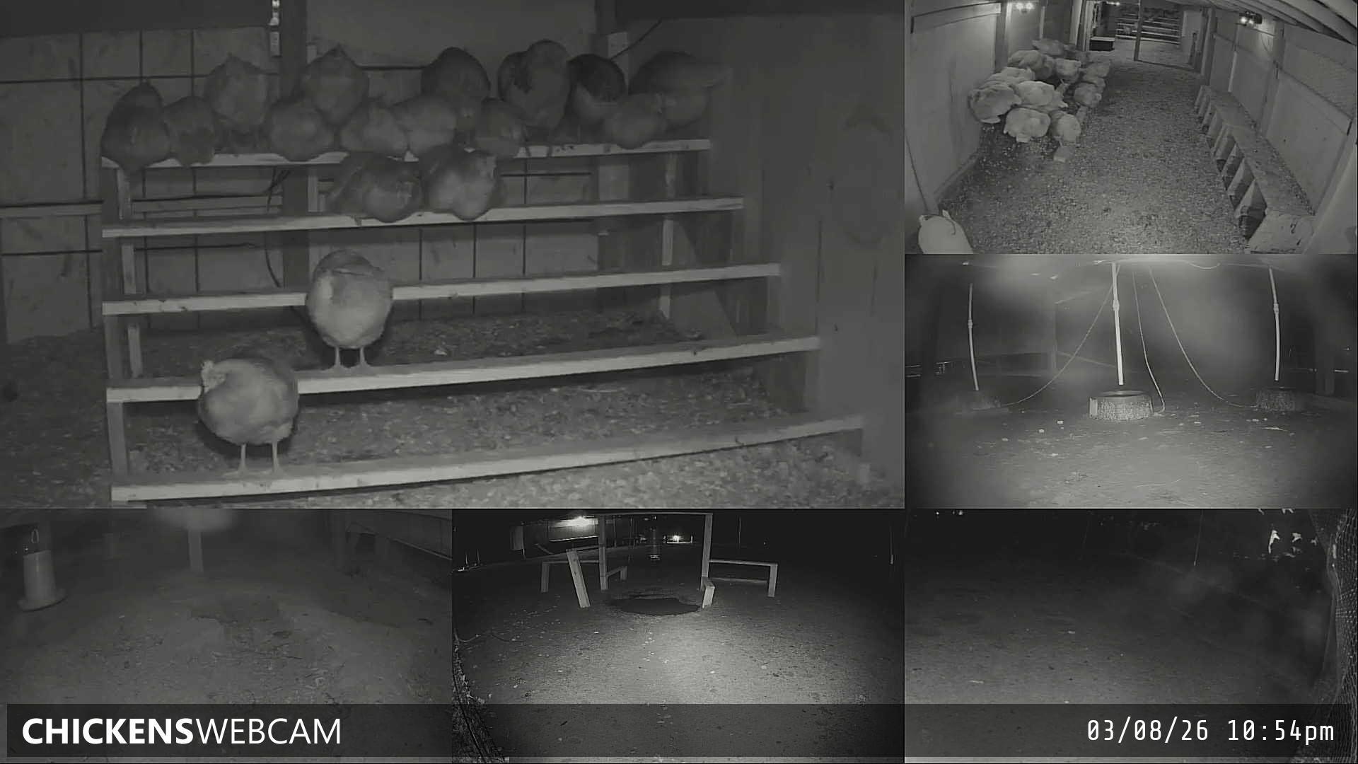 Twitch Stream Preview