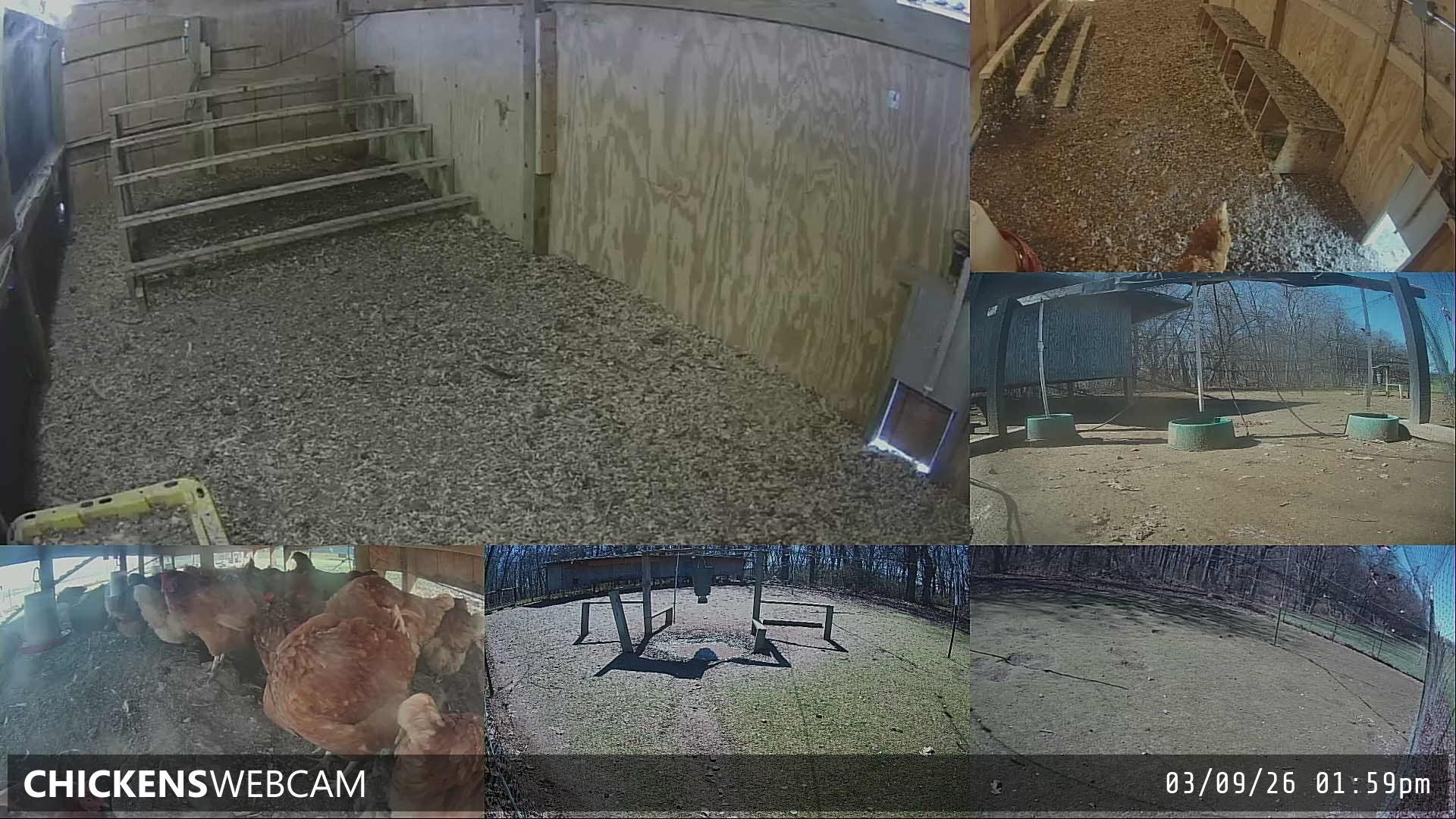 Twitch Stream Preview