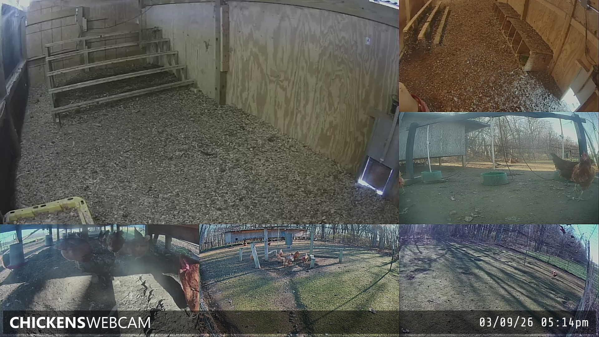 Twitch Stream Preview