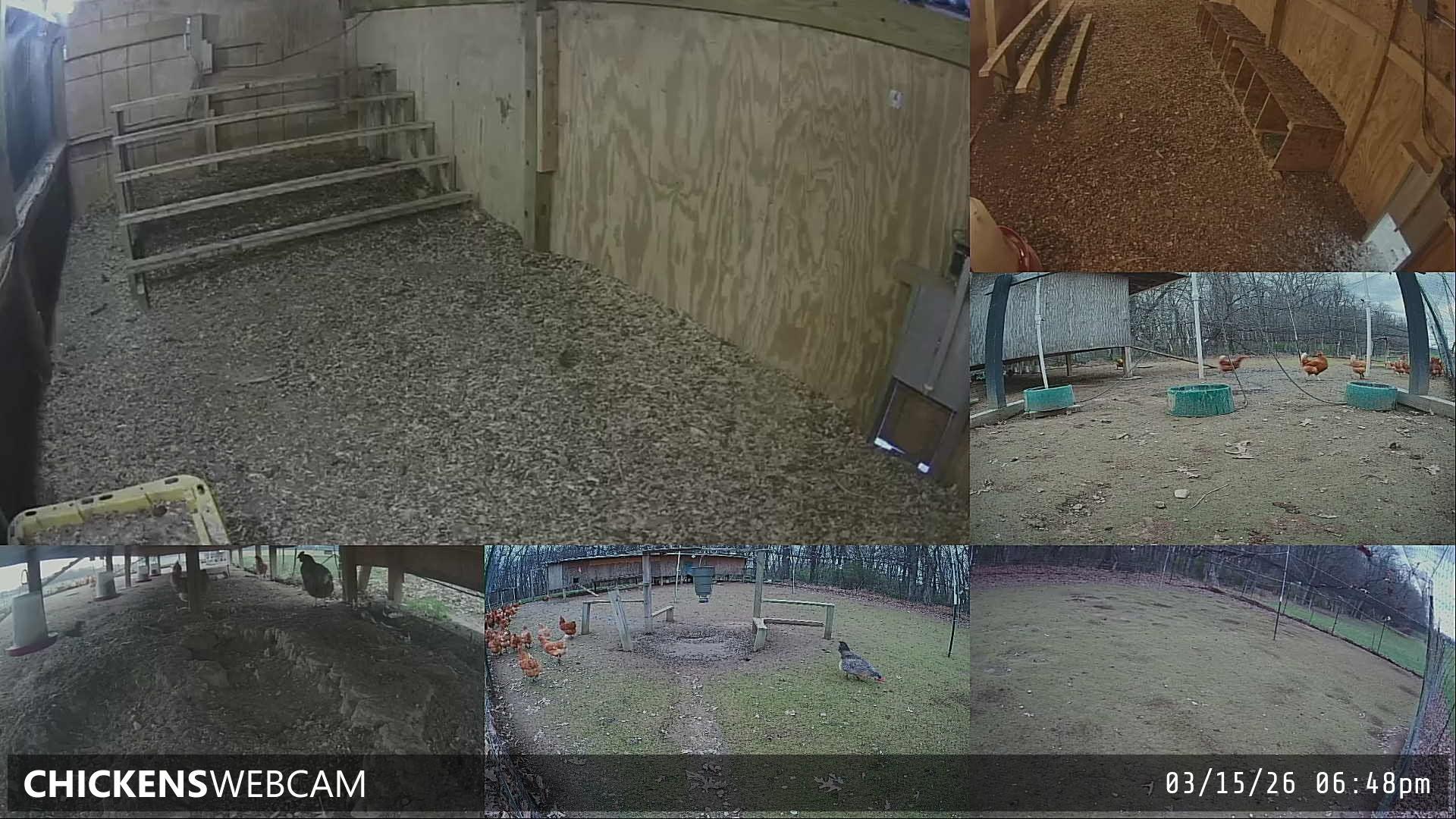 Twitch Stream Preview