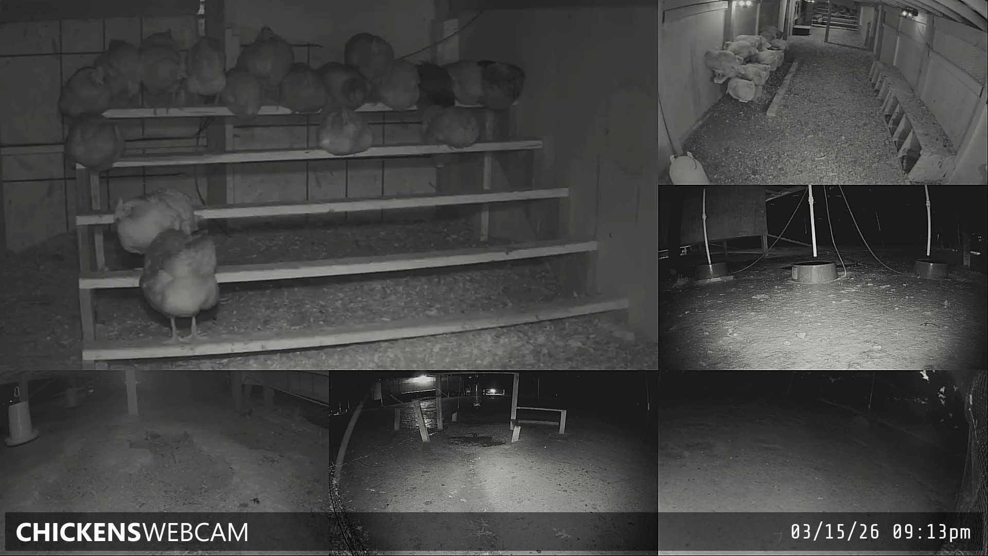 Twitch Stream Preview