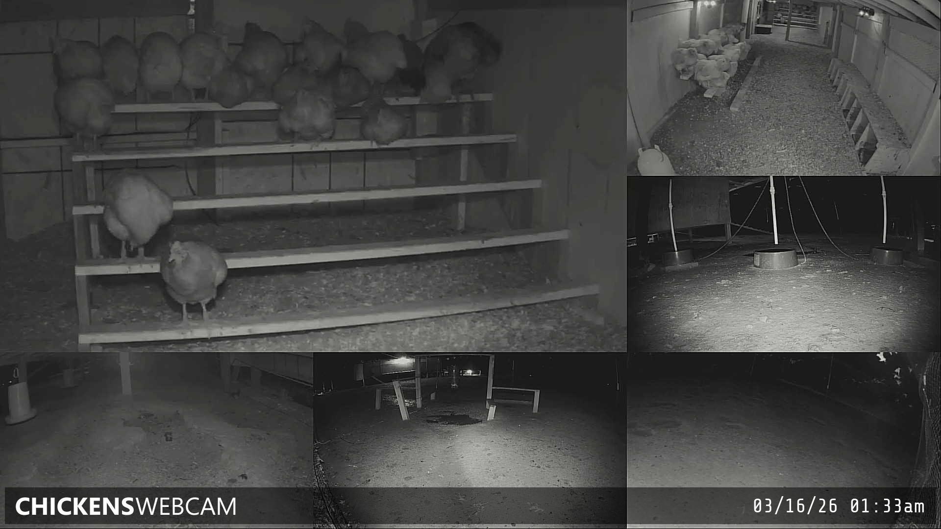 Twitch Stream Preview