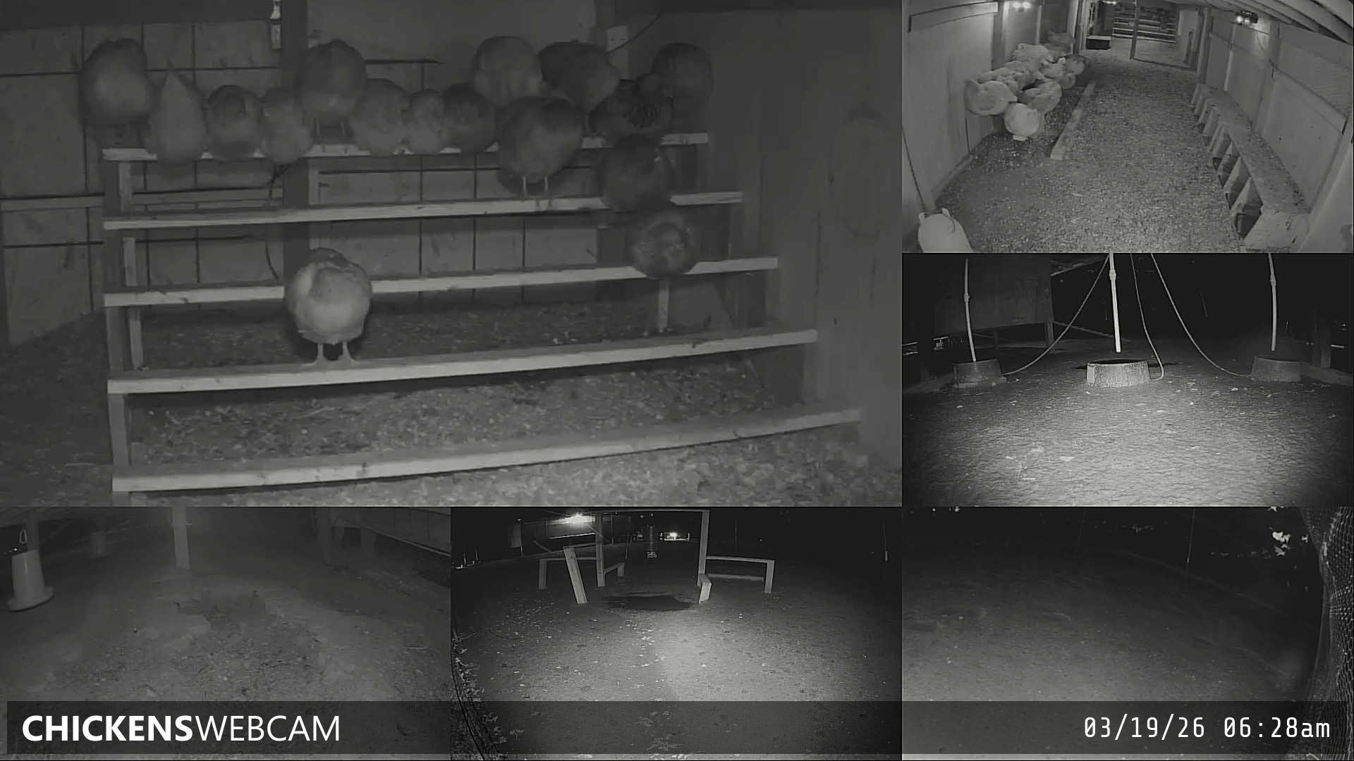 Twitch Stream Preview