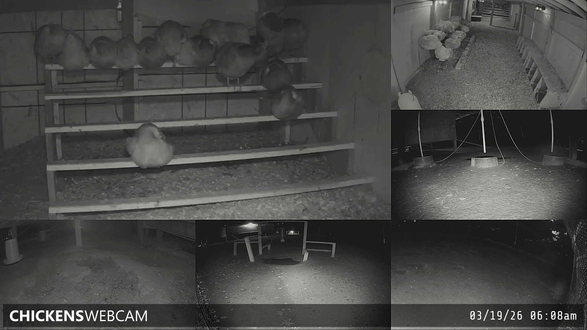 Twitch Stream Preview