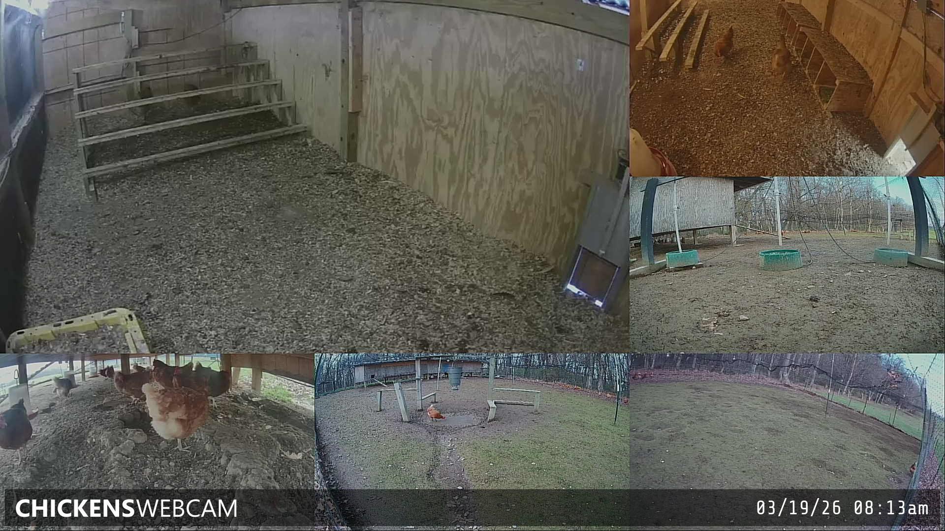 Twitch Stream Preview