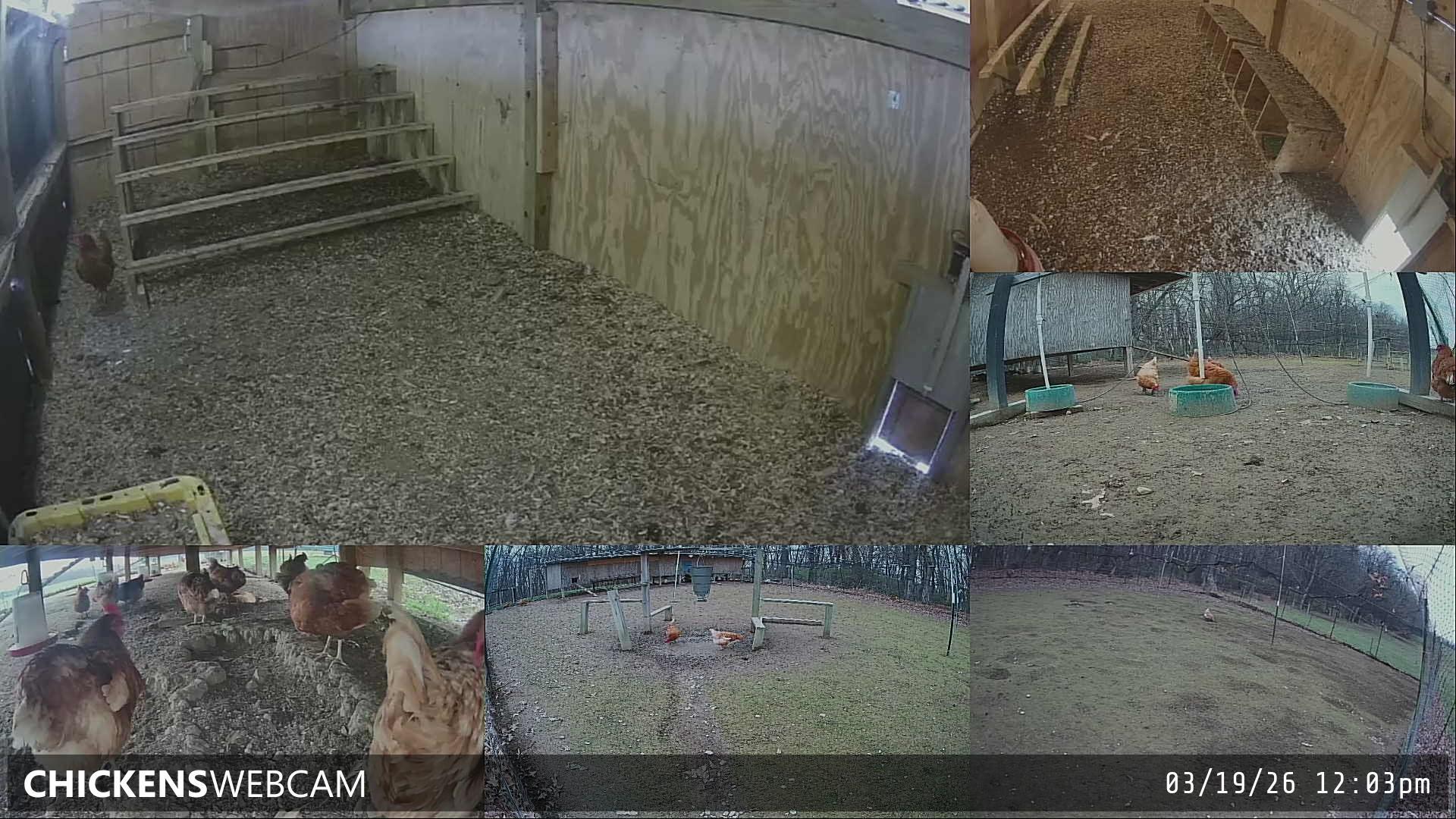 Twitch Stream Preview