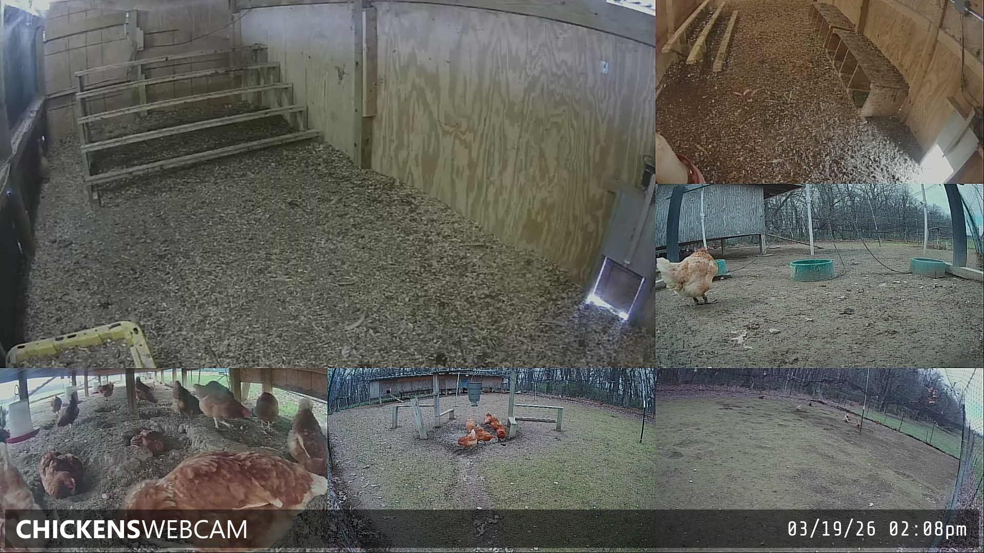 Twitch Stream Preview