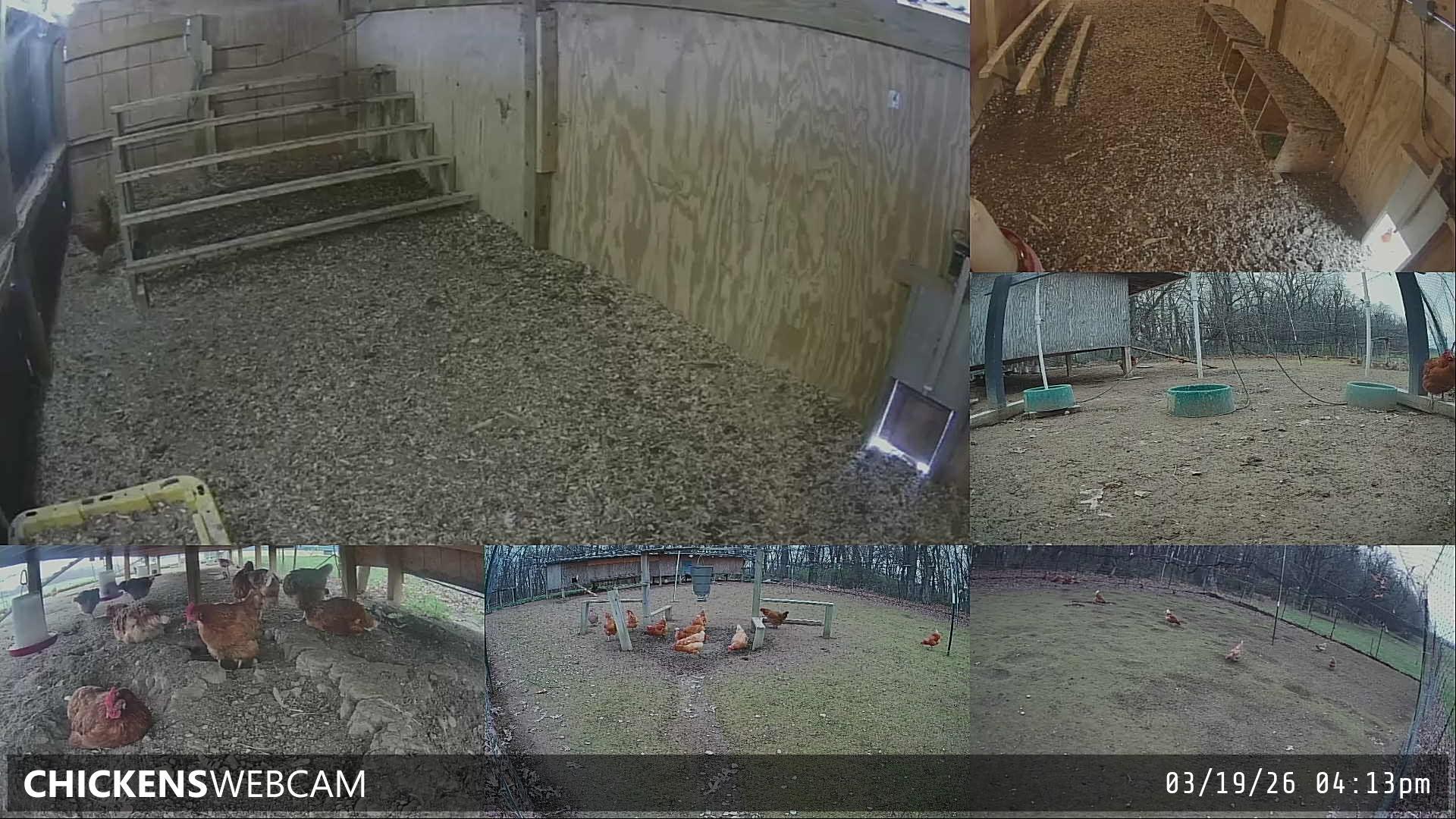 Twitch Stream Preview