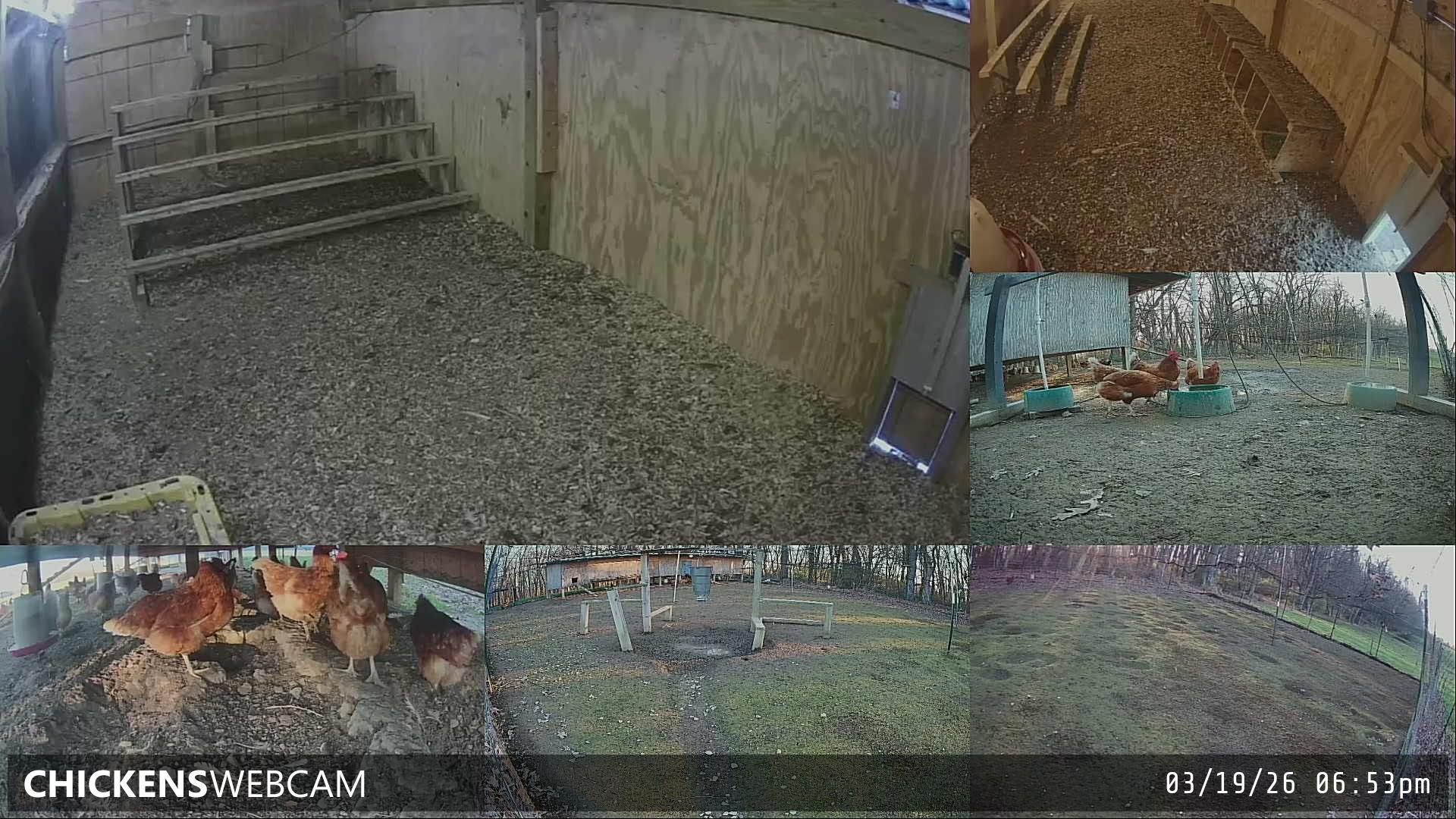 Twitch Stream Preview