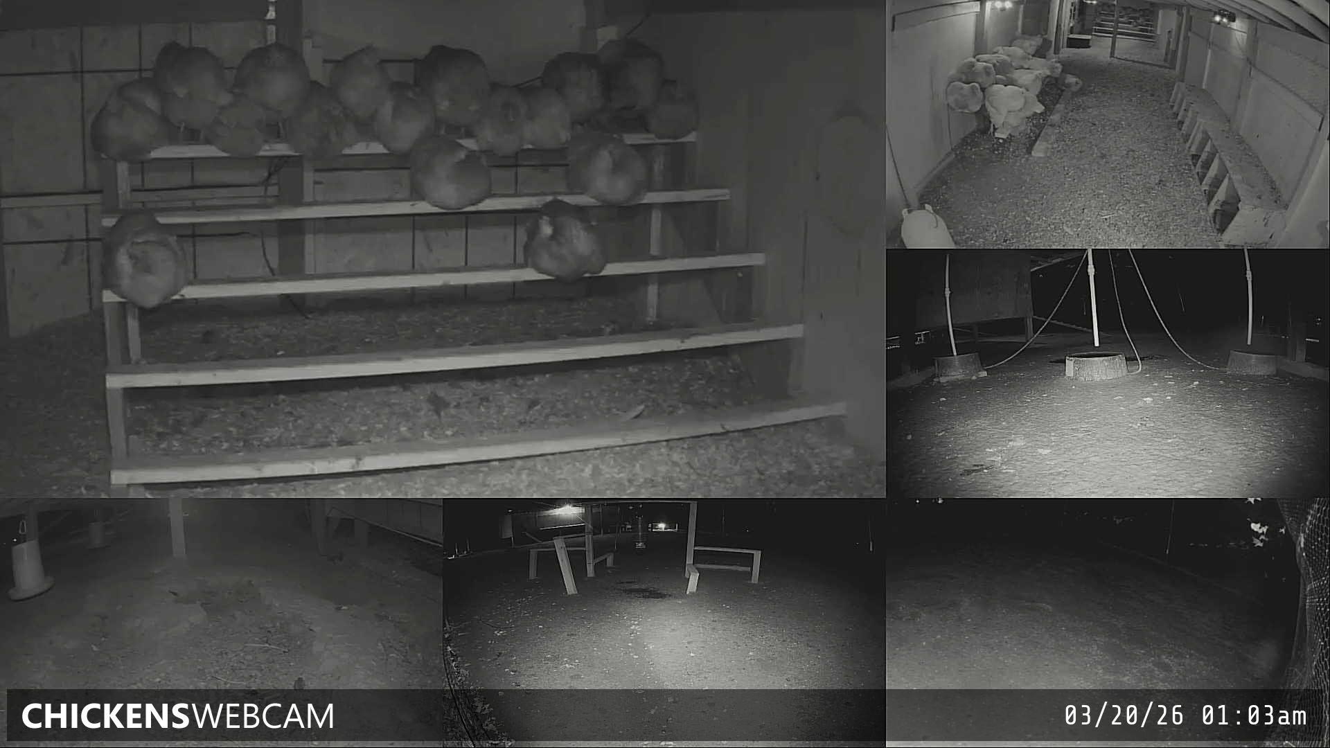 Twitch Stream Preview