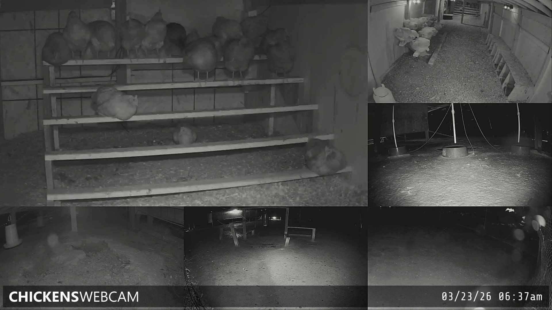 Twitch Stream Preview