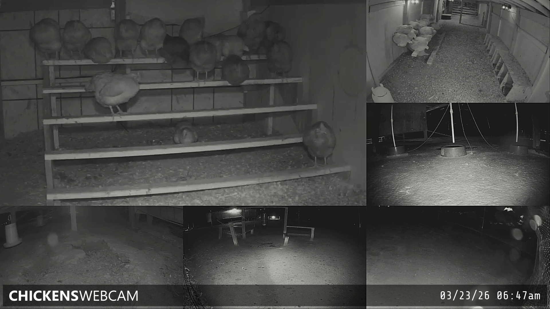 Twitch Stream Preview