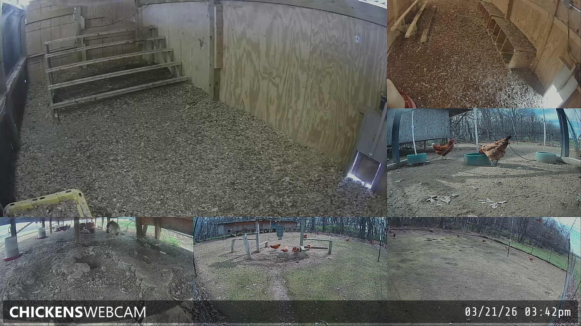 Twitch Stream Preview