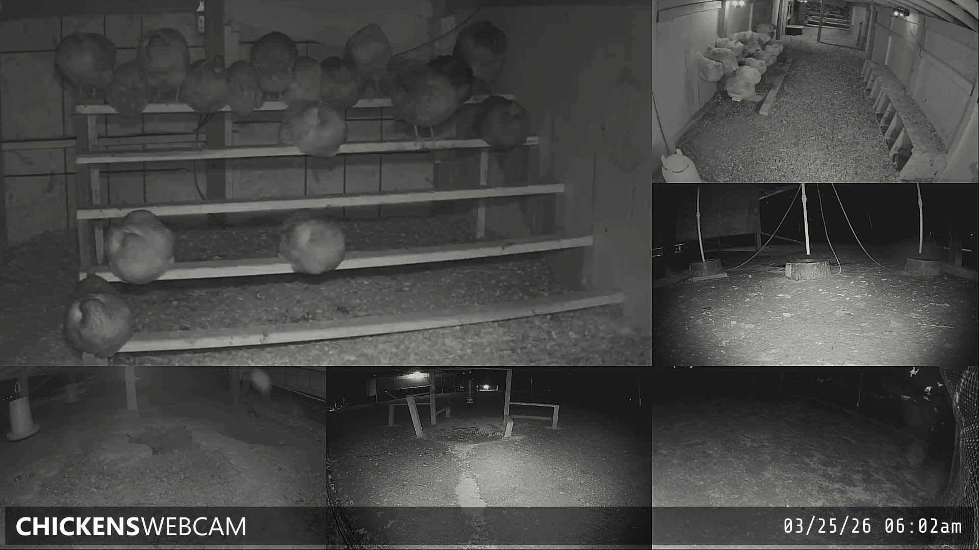 Twitch Stream Preview