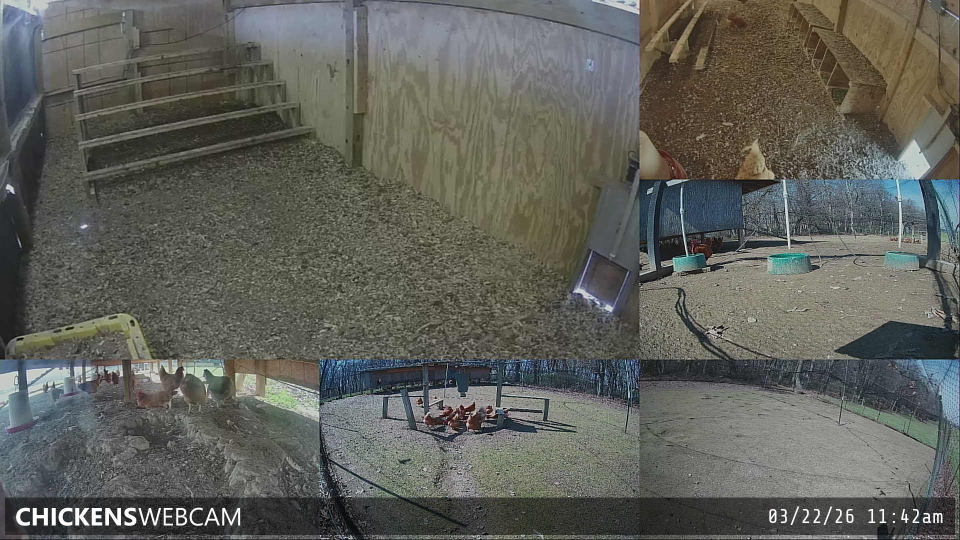 Twitch Stream Preview