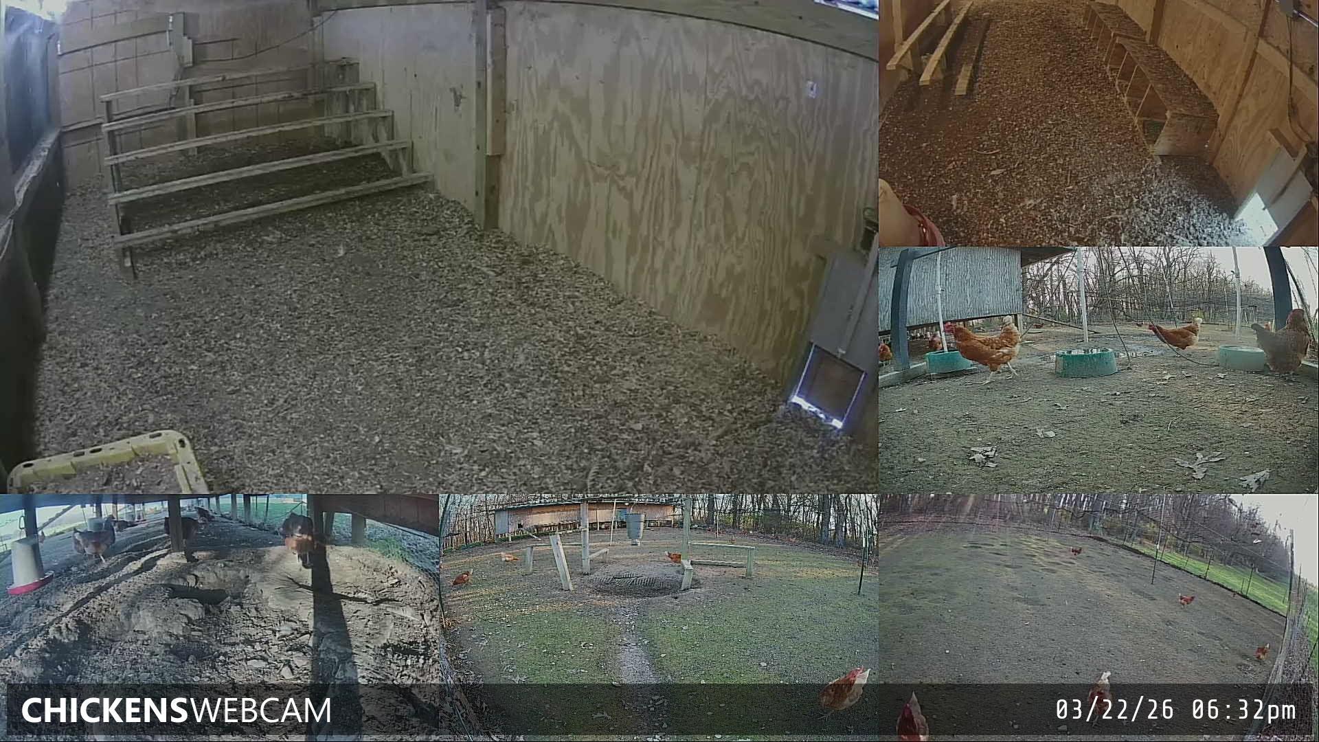 Twitch Stream Preview