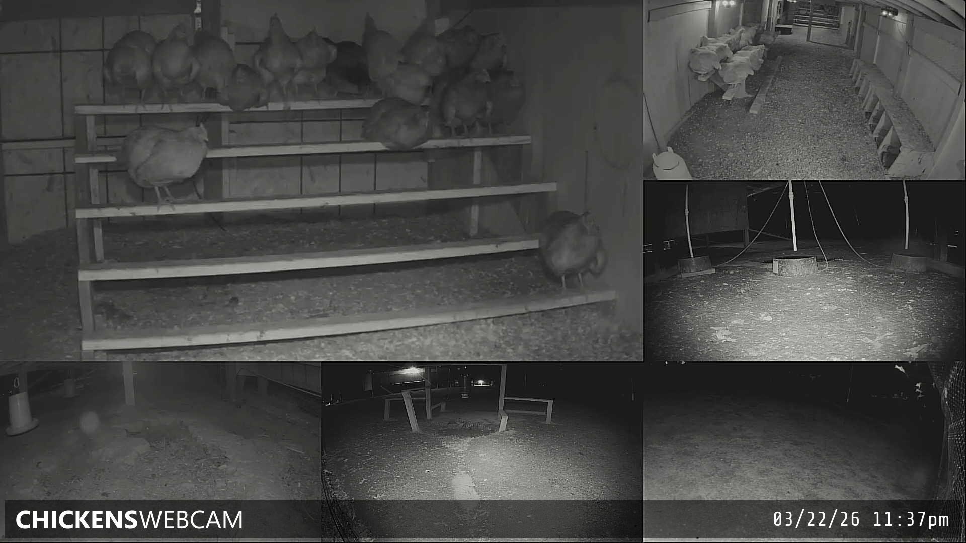 Twitch Stream Preview