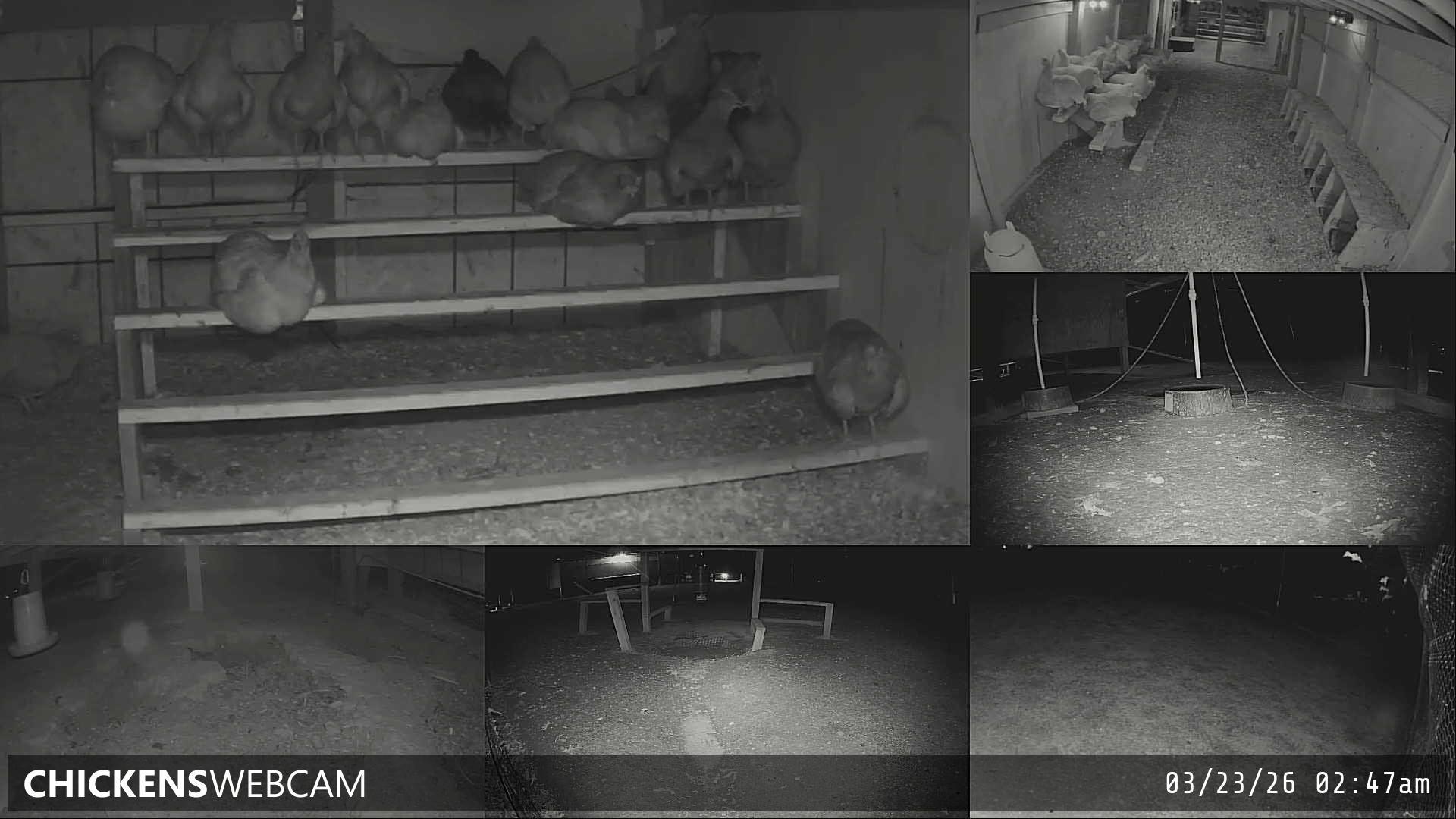 Twitch Stream Preview