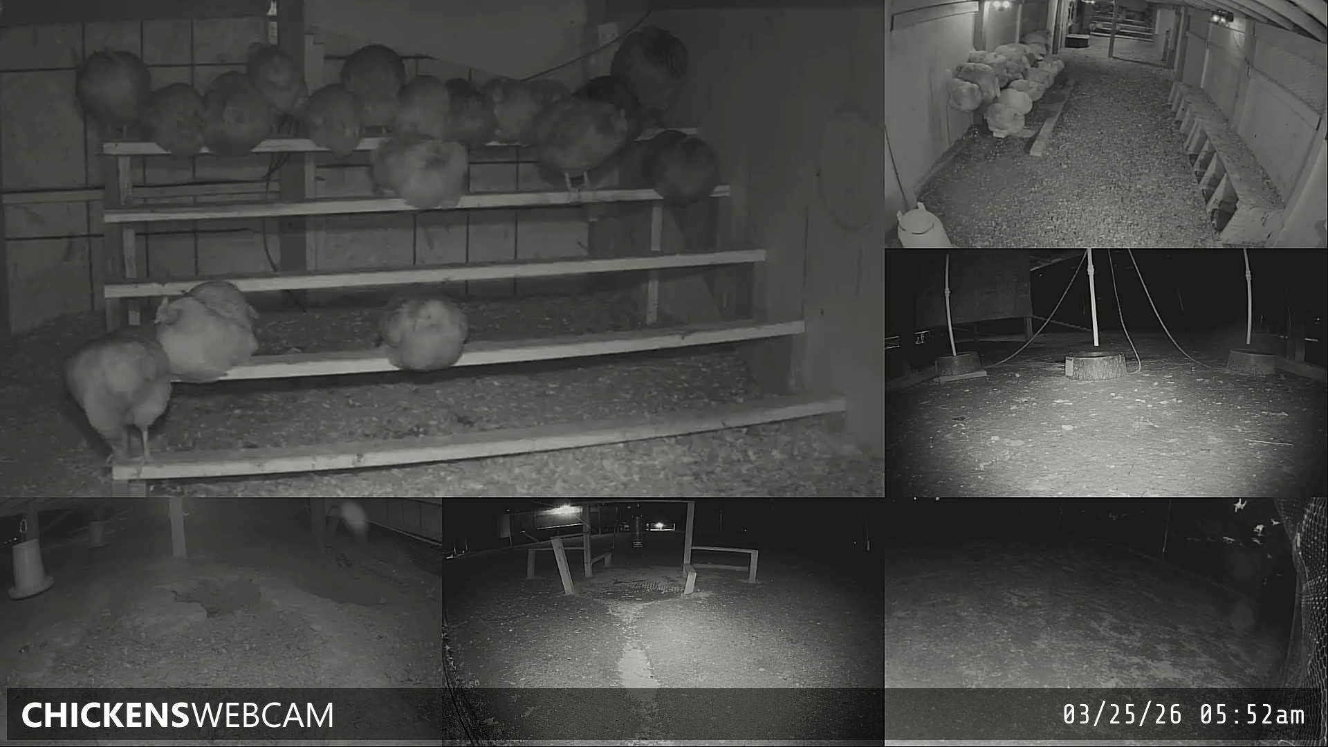 Twitch Stream Preview