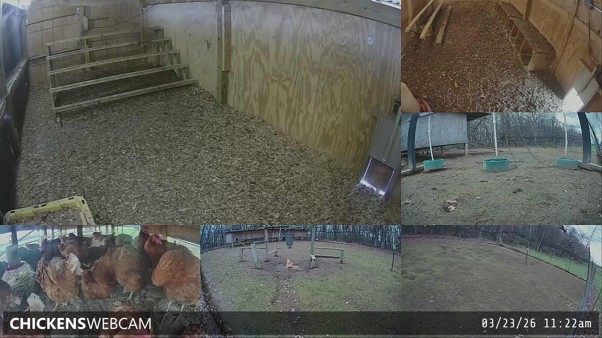 Twitch Stream Preview