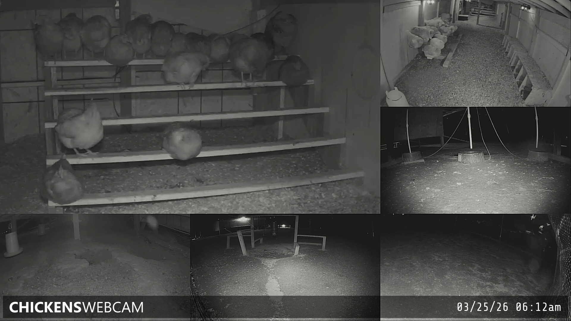 Twitch Stream Preview