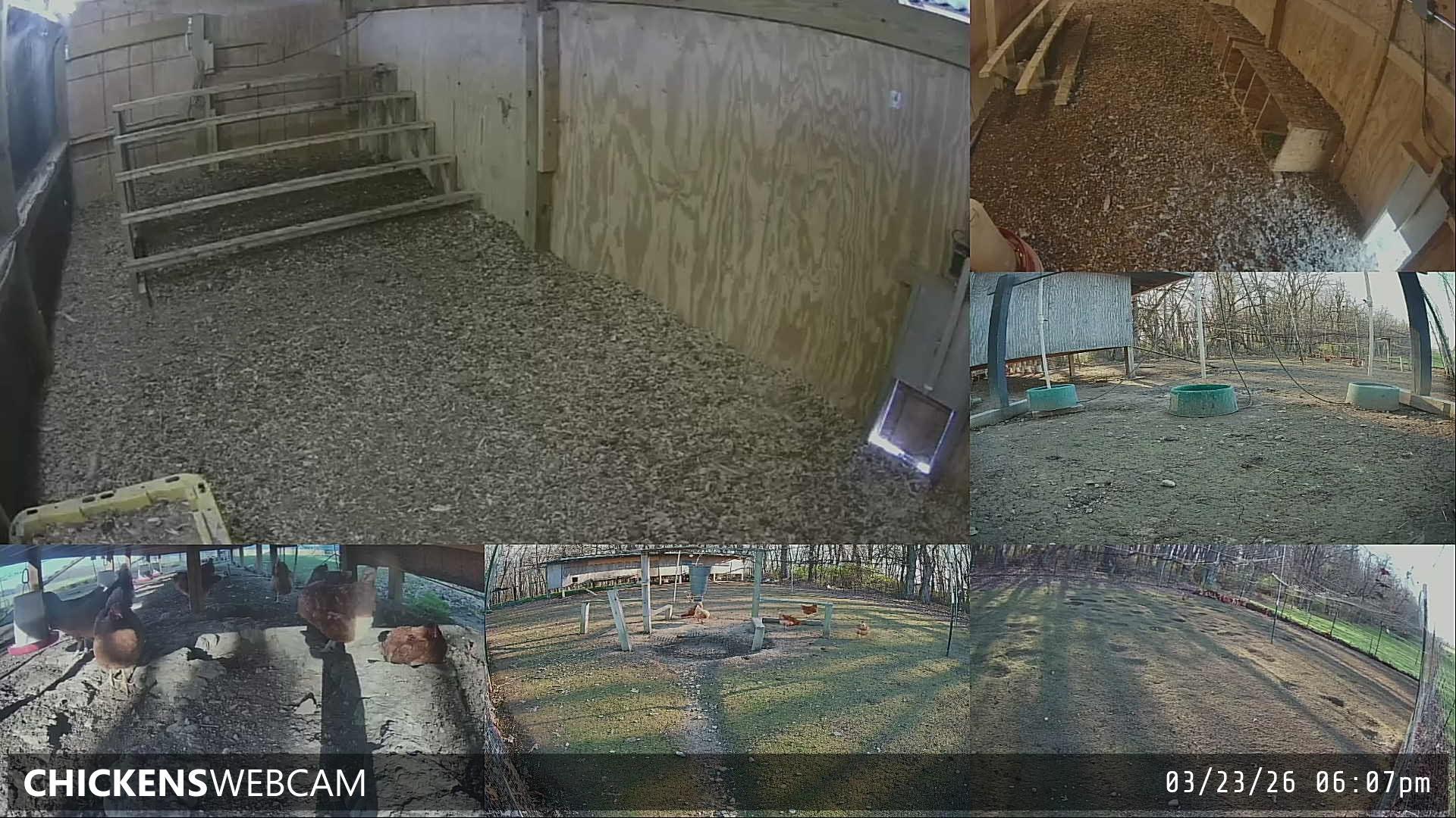 Twitch Stream Preview