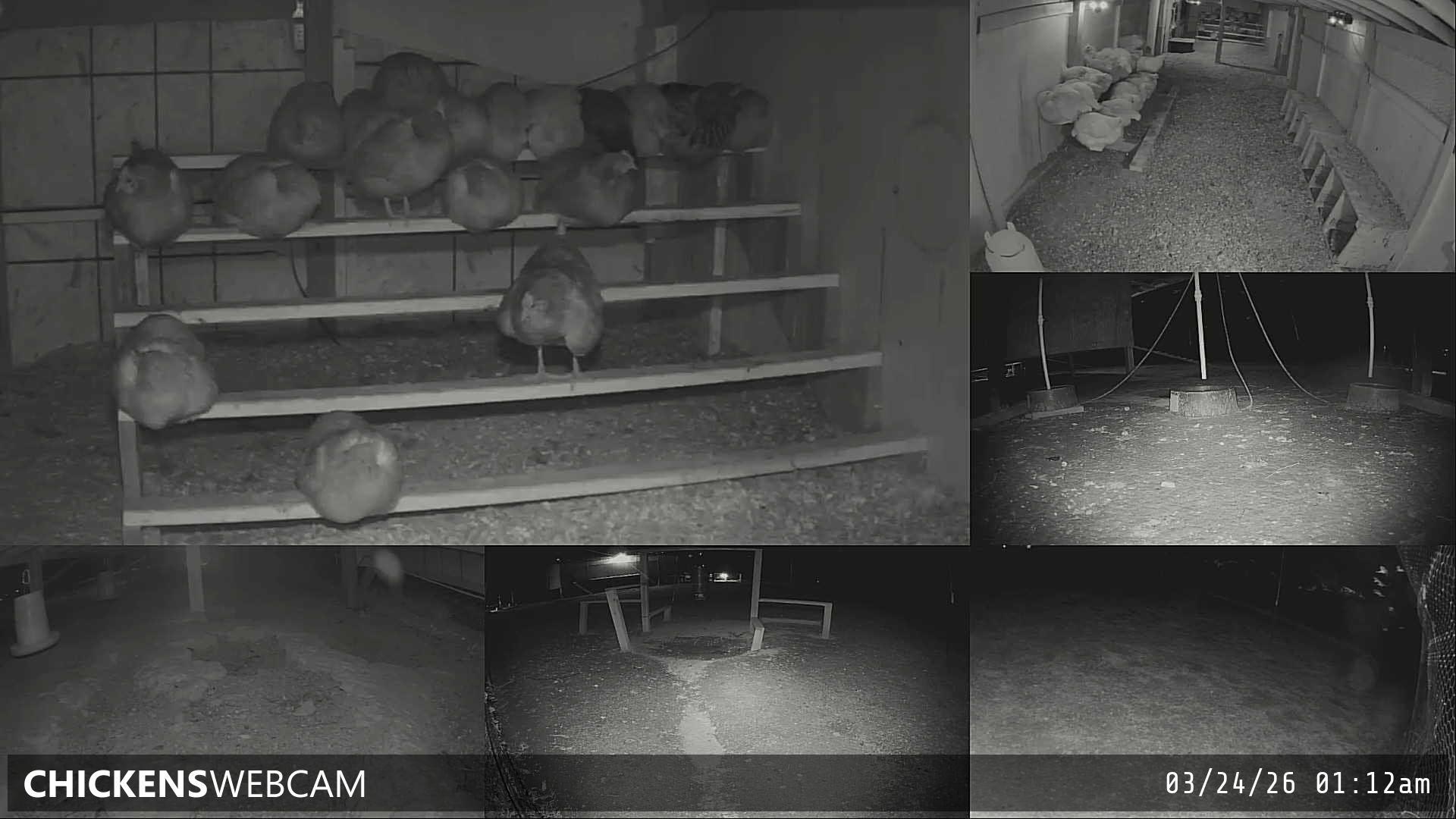 Twitch Stream Preview